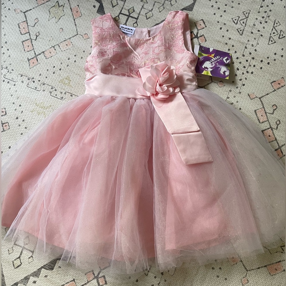 Toddler Princess Ballerina Dress NWT